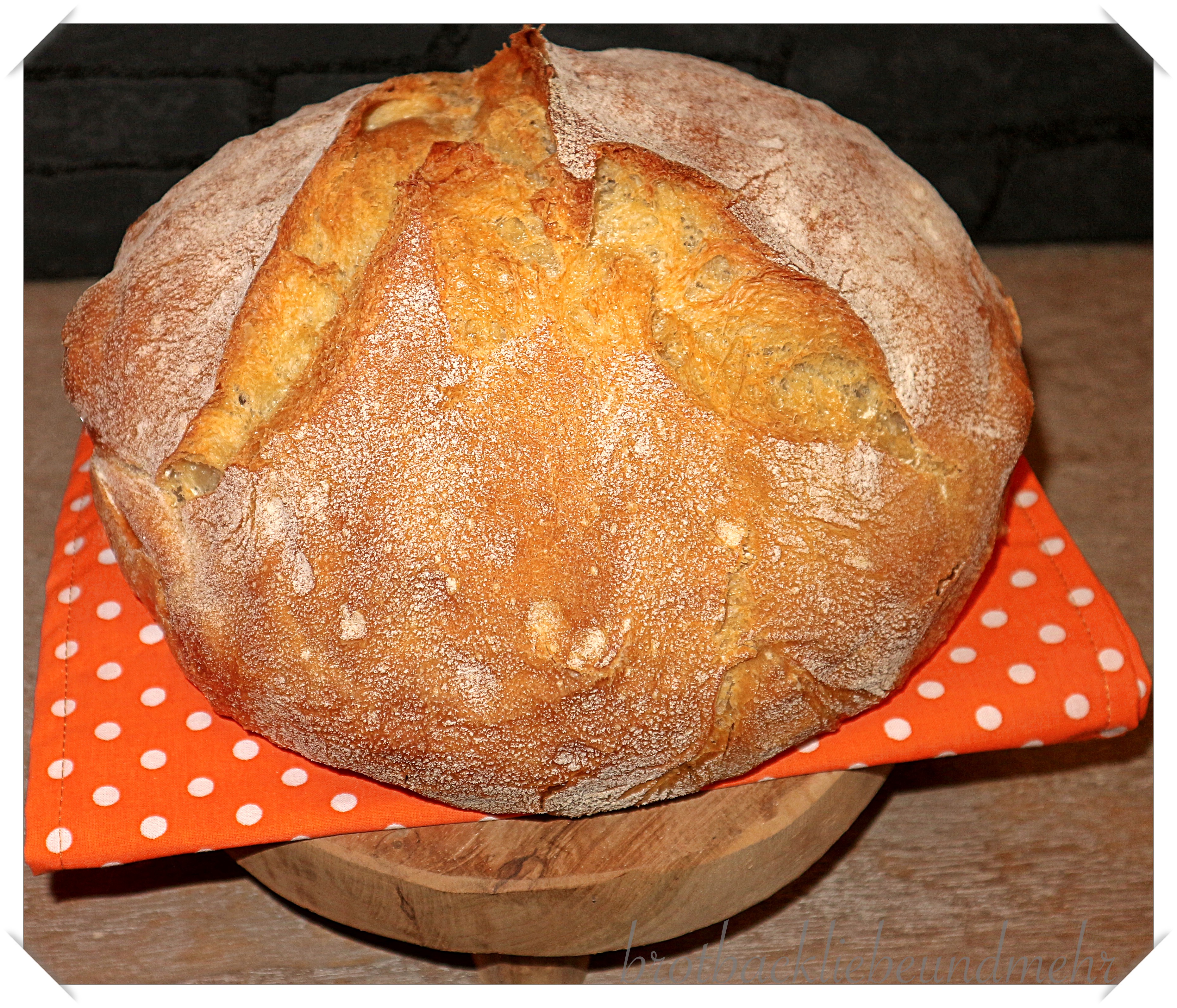Foto 11 No-knead-Brot fertig