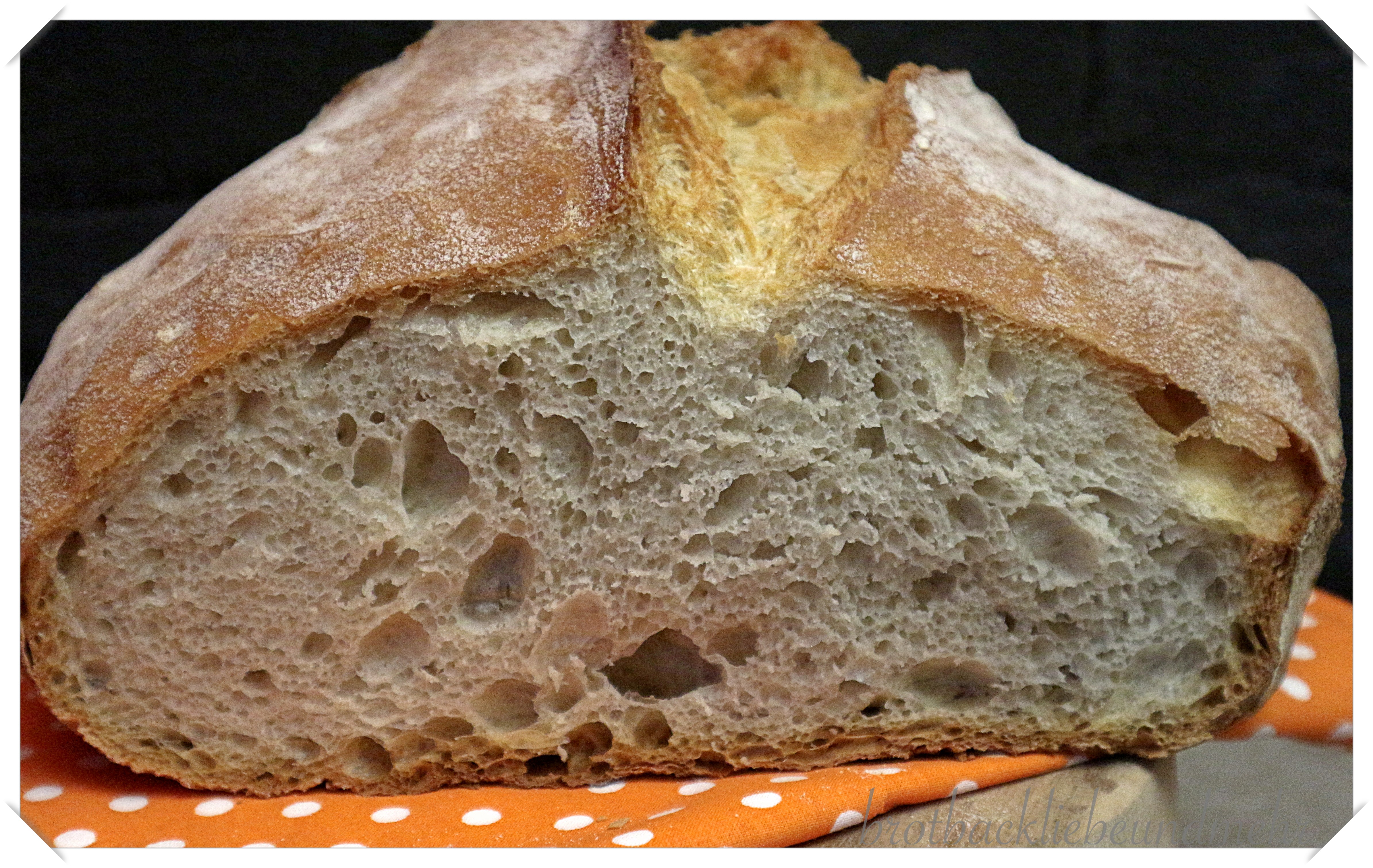 Foto 14 No-knead-Brot Anschnitt
