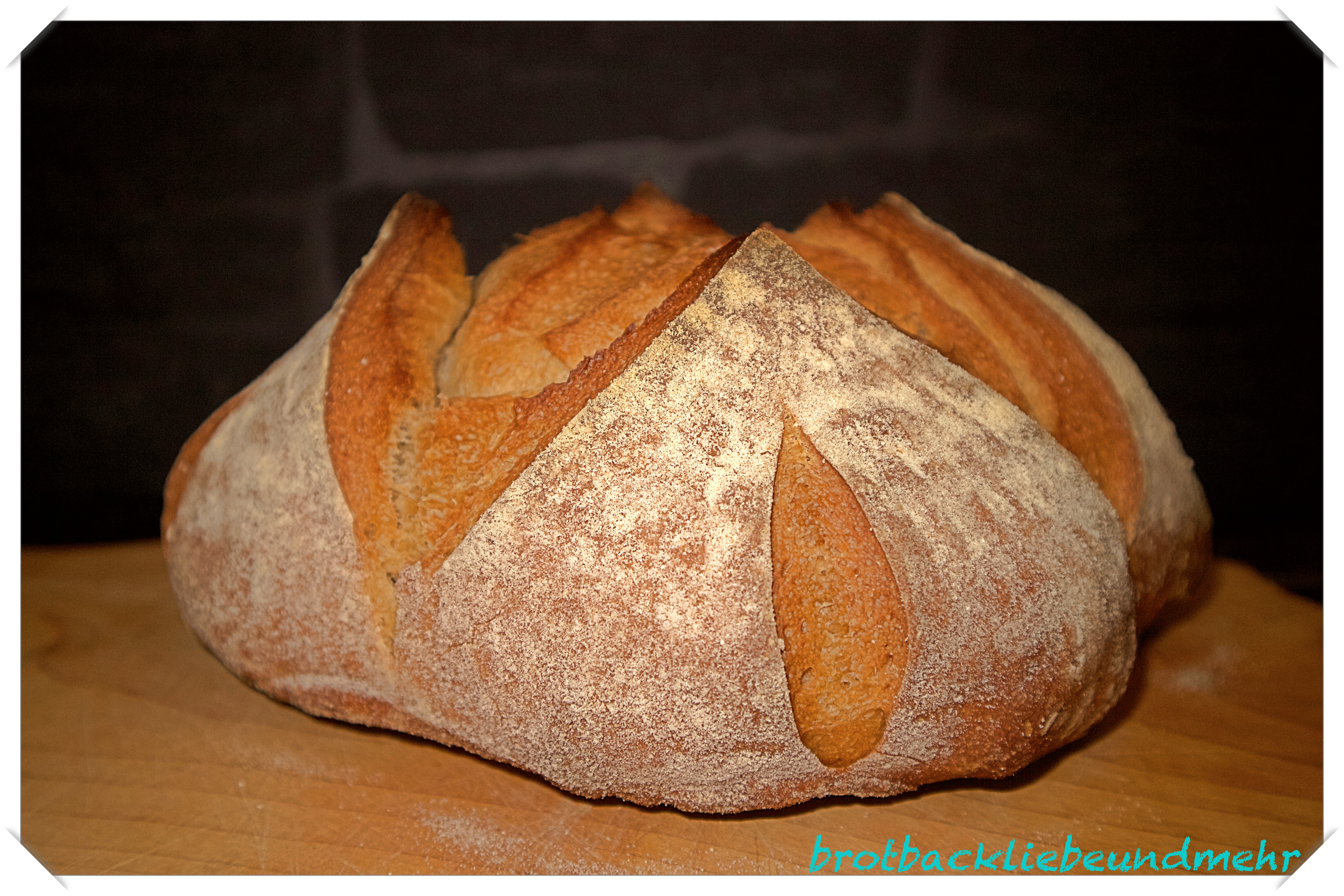 Foto 8 Einsteigerkurs Fertiges Brot