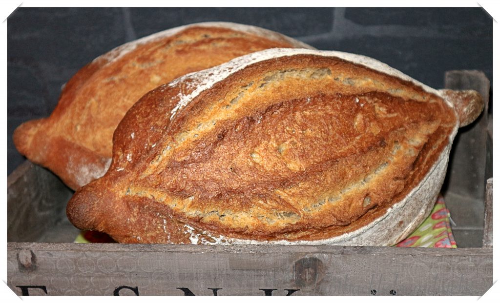 Reispfanne mit Champignons und Steakstreifen - Brotbackliebe ... und mehr